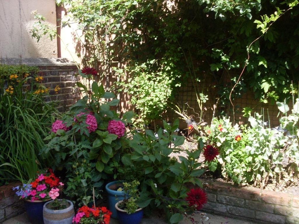 Cambridge House Guest House Ήστμπορν Δωμάτιο φωτογραφία